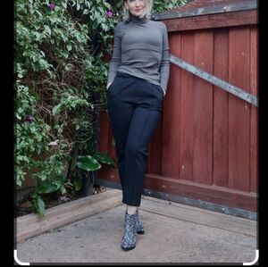 Everlane the dream pant size M